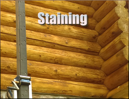  Lowland, North Carolina Log Home Staining